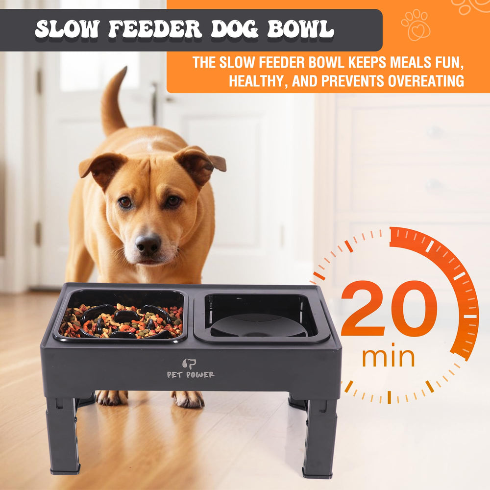 Pet Power floating disk water bowl controls drinking speed.
