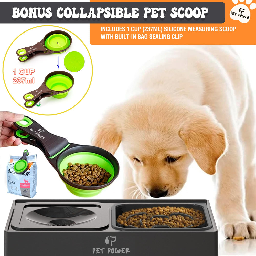 Pet Power slow feeder bowl to promote mindful eating.