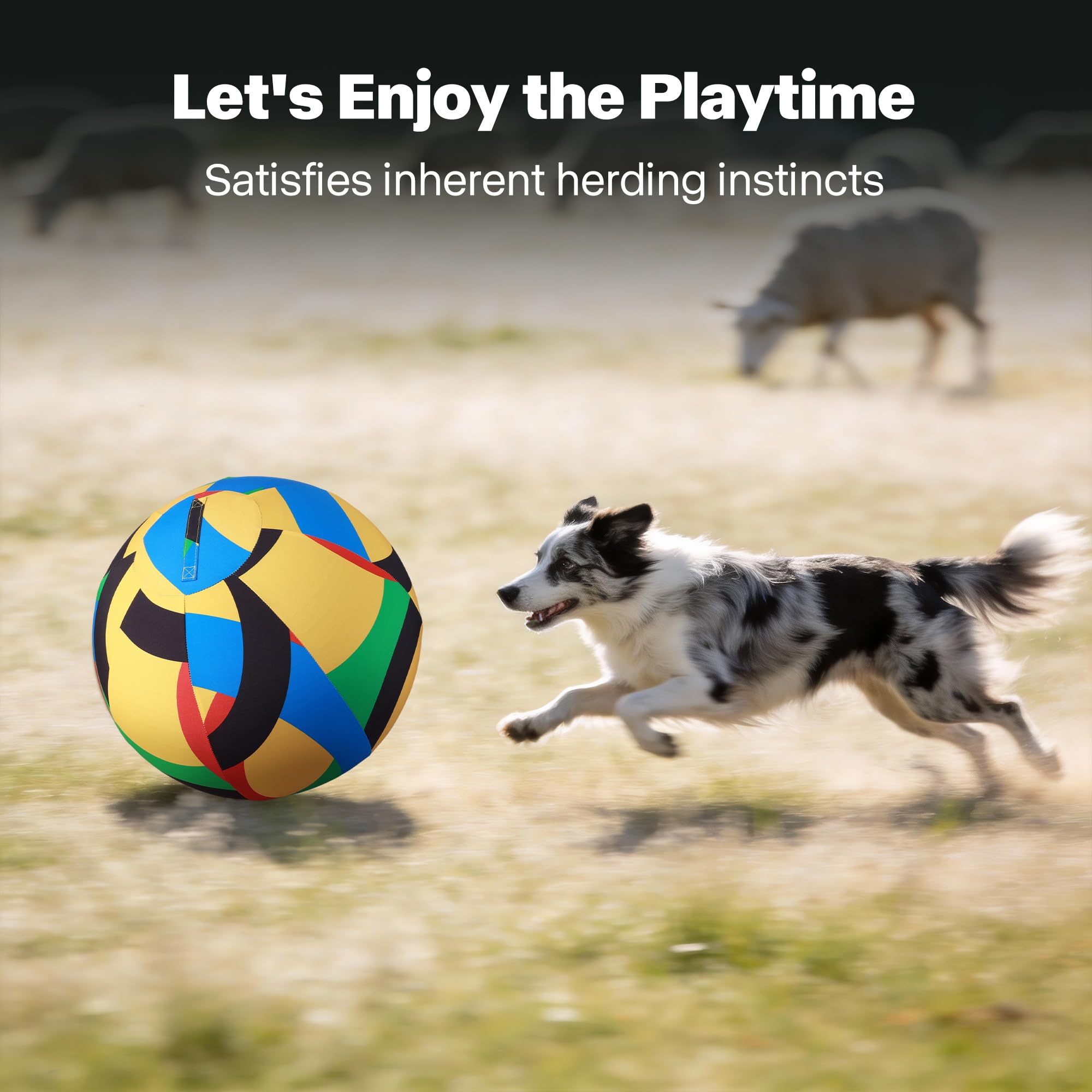 Pet Prime complete accessory set for ready-to-play herding sessions