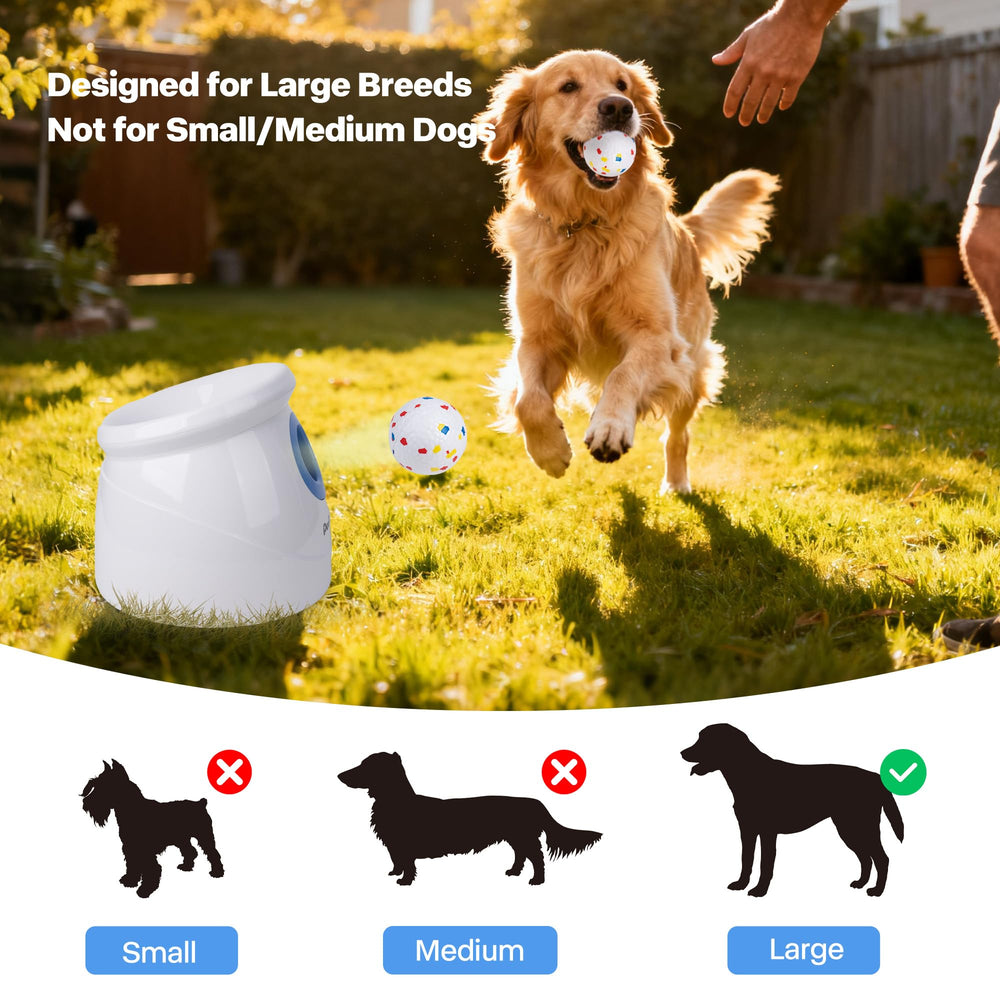 Dog enjoys a high-energy fetch session in the backyard with Pet Prime