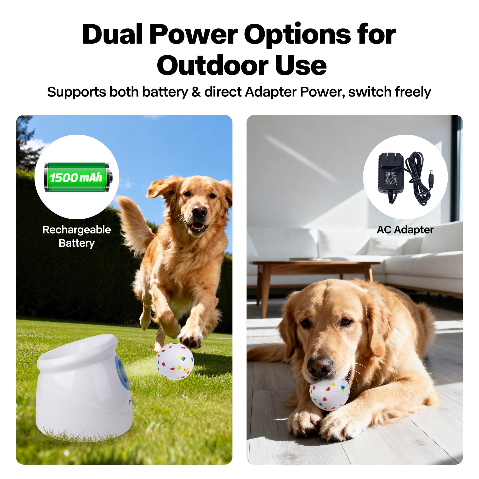 Pet Prime ETPU balls lightweight and bite-resistant for safe play.