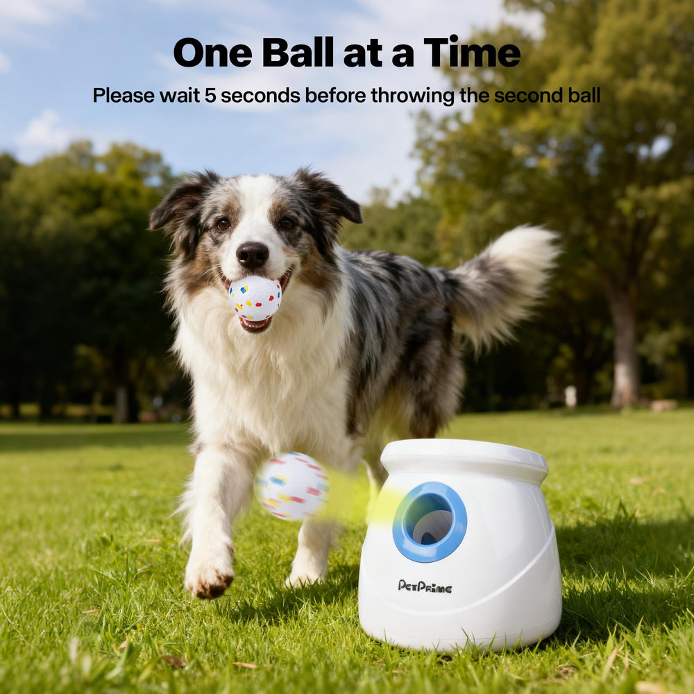 Pet Prime complete backyard set ready for interactive play.