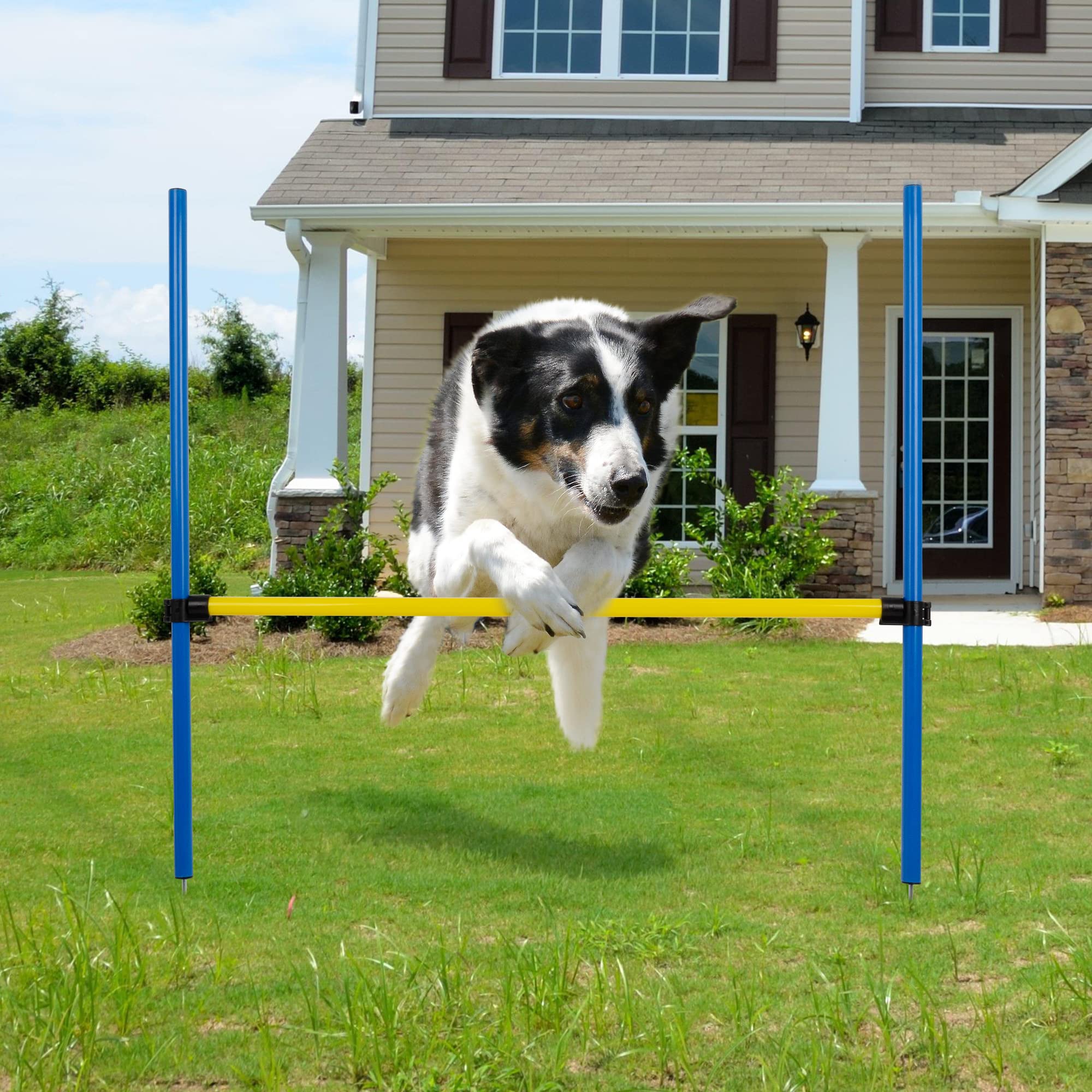 Pet Prime agility course makes a thoughtful gift for dog lovers