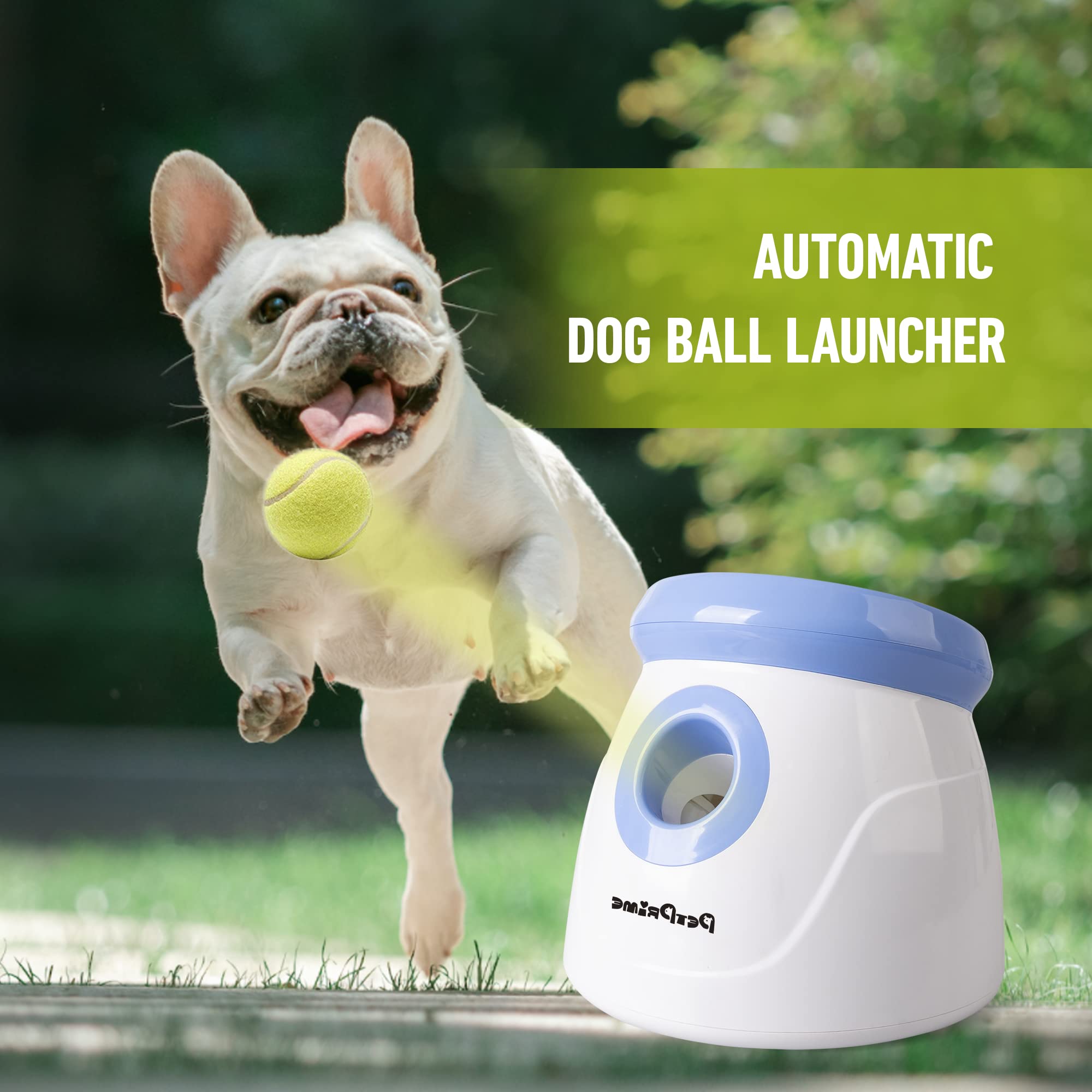 Pet Prime dog enjoying fetch with automatic thrower