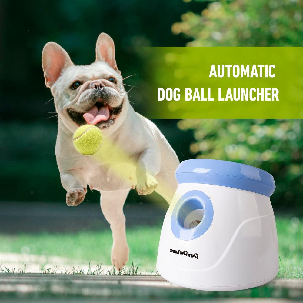 Pet Prime dog enjoying fetch with automatic thrower