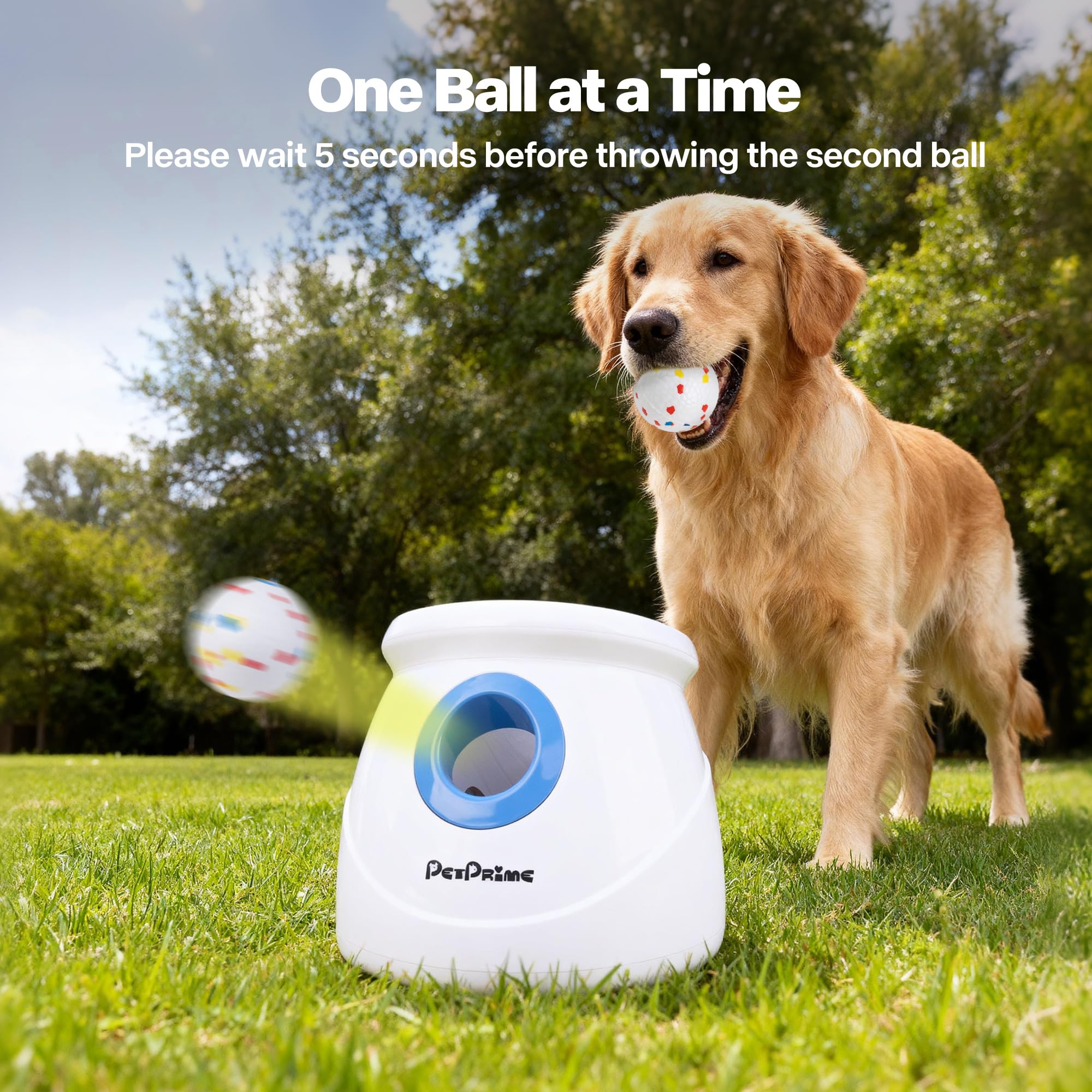 Gift-ready Pet Prime packaging suitable for dog lovers and holidays