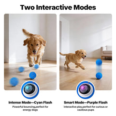 Pet Prime ball toy with replaceable shell for refreshed play sessions