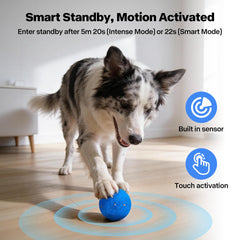 Pet Prime ball toy charging via USB-C for extended play time