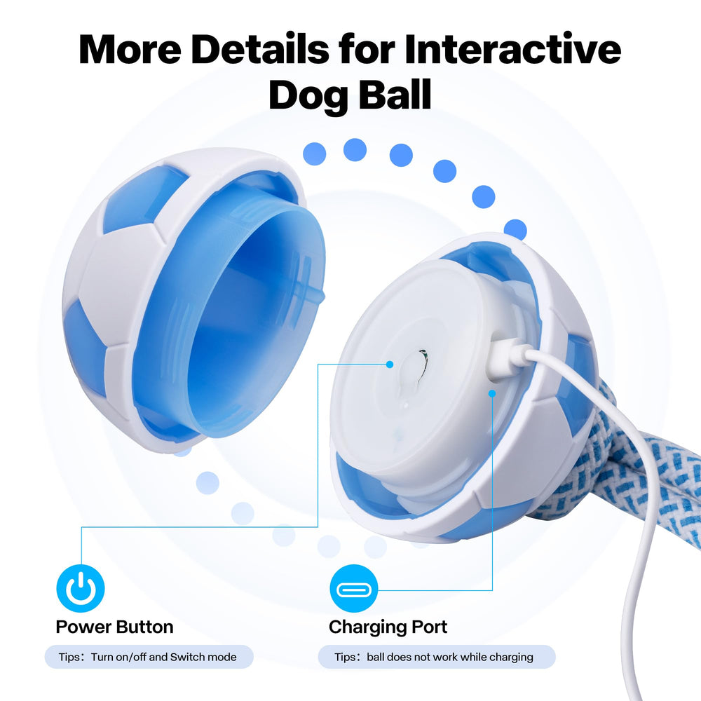 Pet Prime interactive mode blue light delivers responsive play, engaging dogs.