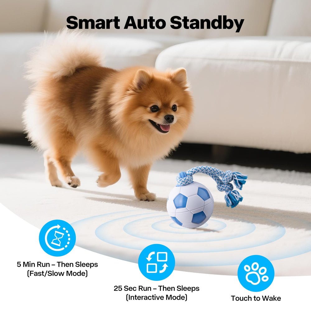 Pet Prime motion-activated toy activates after pauses to encourage solo play.
