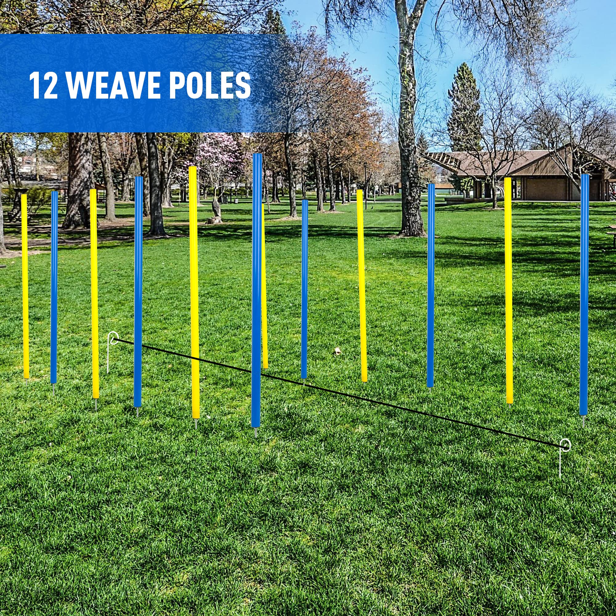 Pet Prime outdoor agility setup enables varied drills in the backyard.
