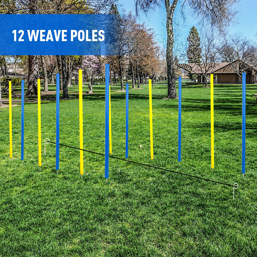 Pet Prime outdoor agility setup enables varied drills in the backyard.