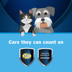 Pet Protect anchovy oil, molecular distillation for enhanced absorption.