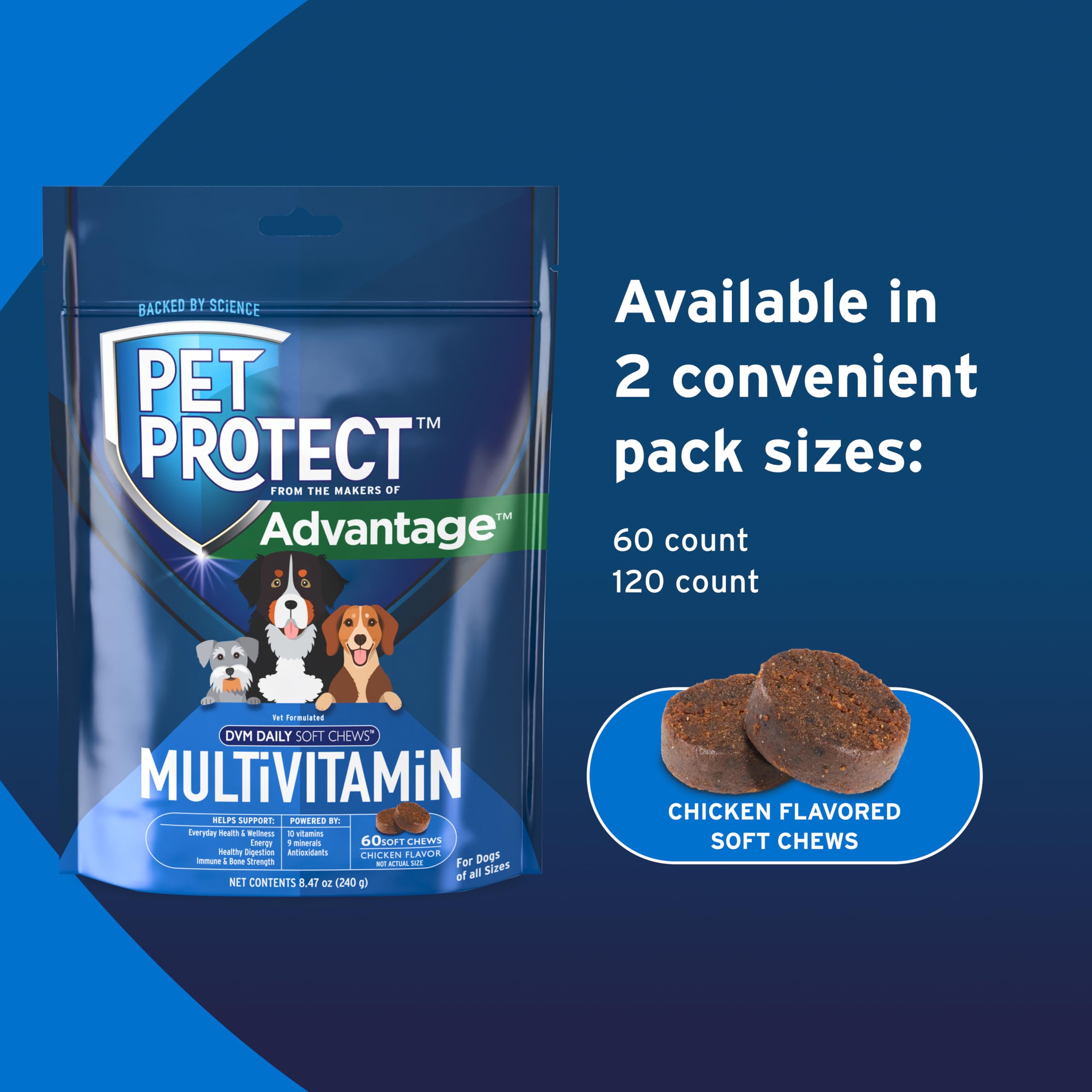Dog happily enjoying a Pet Protect chew during a routine moment.