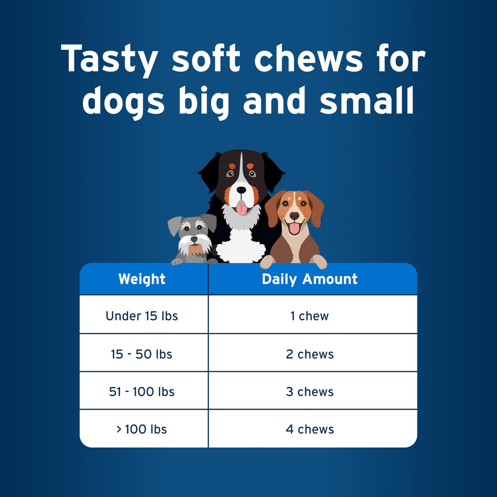 Playful dog with Pet Protect chews, suggesting support for an active lifestyle.