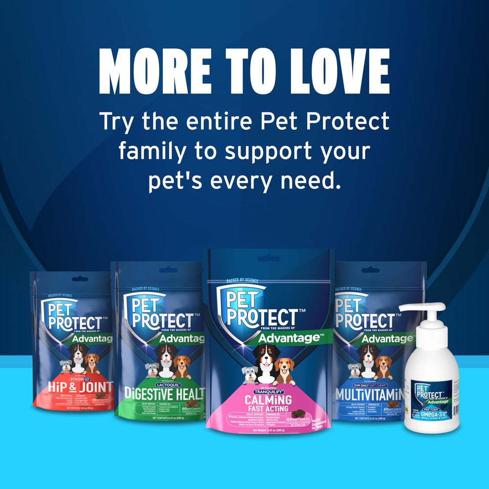 Pet Protect calming aid for confident park outings