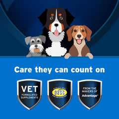 Pet Protect vet-formulated DVM Daily Soft Chews label for trusted formulation.