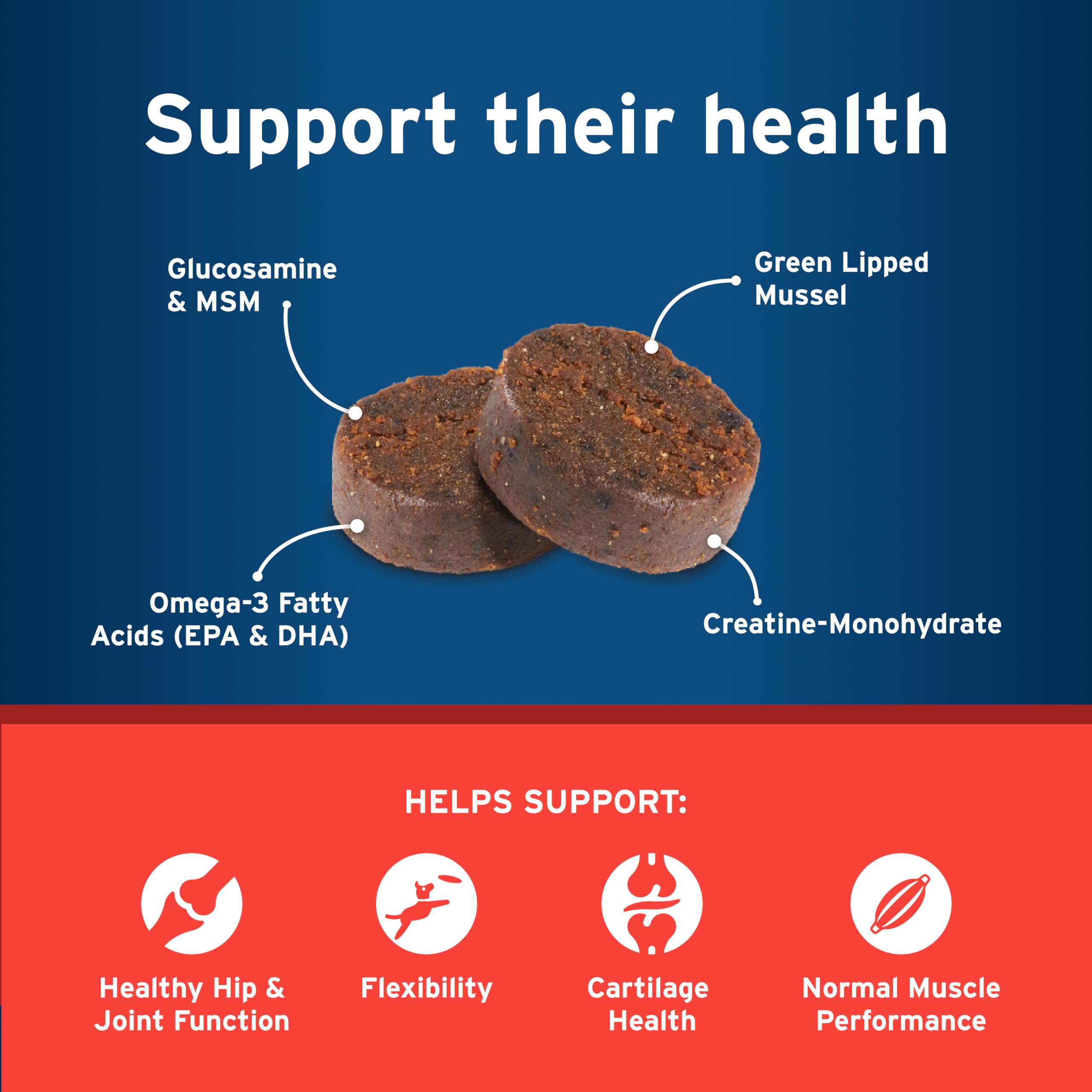 Pet Protect green lipped mussel ingredient spotlight for flexibility.