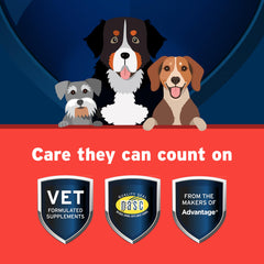 Pet Protect green-lipped mussel supports daily joint comfort.