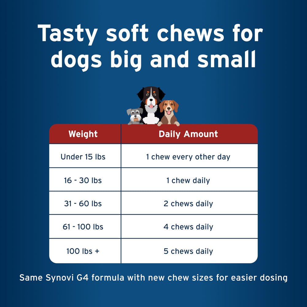 Pet Protect Hip & Joint+ chew texture designed for dogs.