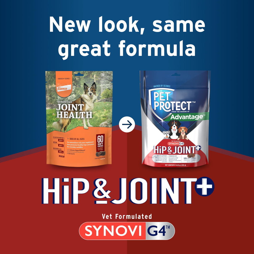 Pet Protect Hip & Joint+ chicken-flavored chew close-up for easy administration.