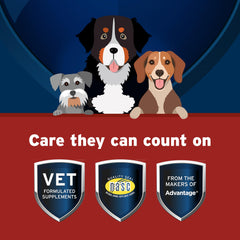 Dog running with Pet Protect Hip & Joint+ support for active days.