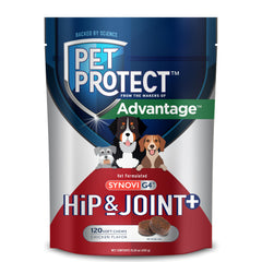Pet Protect Hip & Joint+ soft chews in bottle support daily joint health.