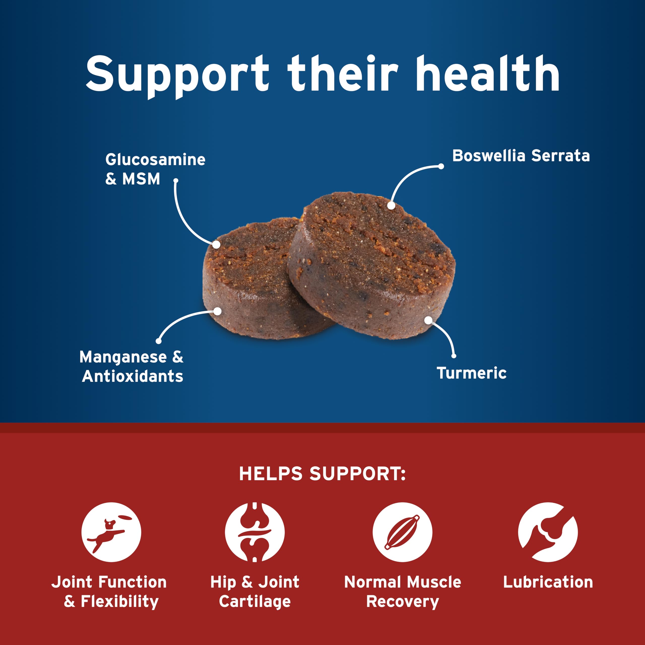 Pet Protect Hip & Joint+ 120-count packaging label for vet-formulated confidence.