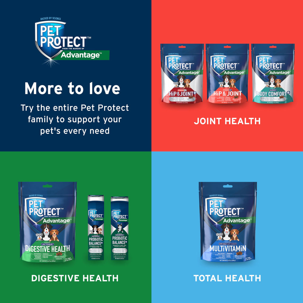Pet Protect 2-4 week timeline concept suggesting faster comfort.