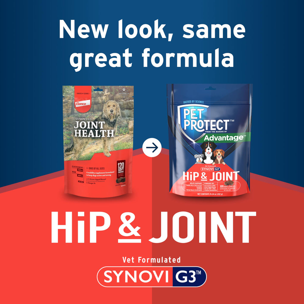 Pet Protect Synovi G3 formula close-up for joint support.