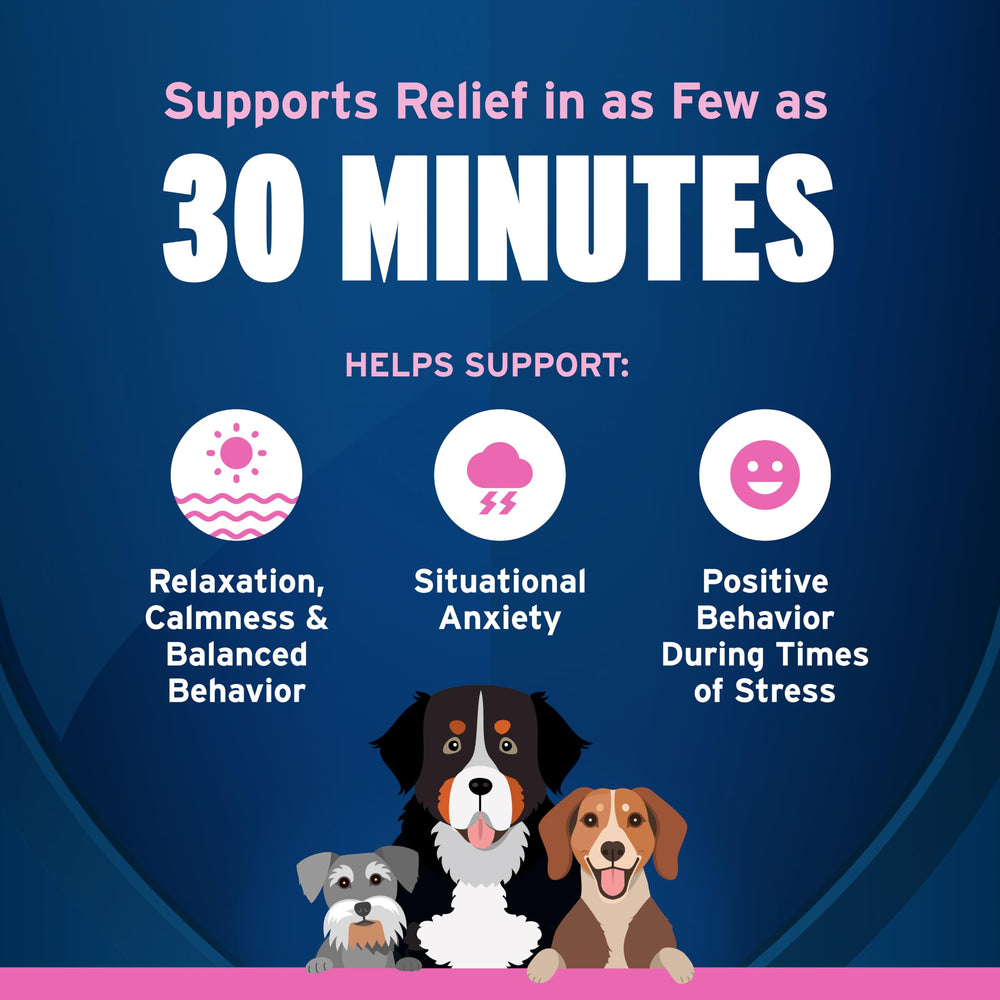 Pet Protect Tranquilify vet-formulated blend highlights calming ingredients for dogs