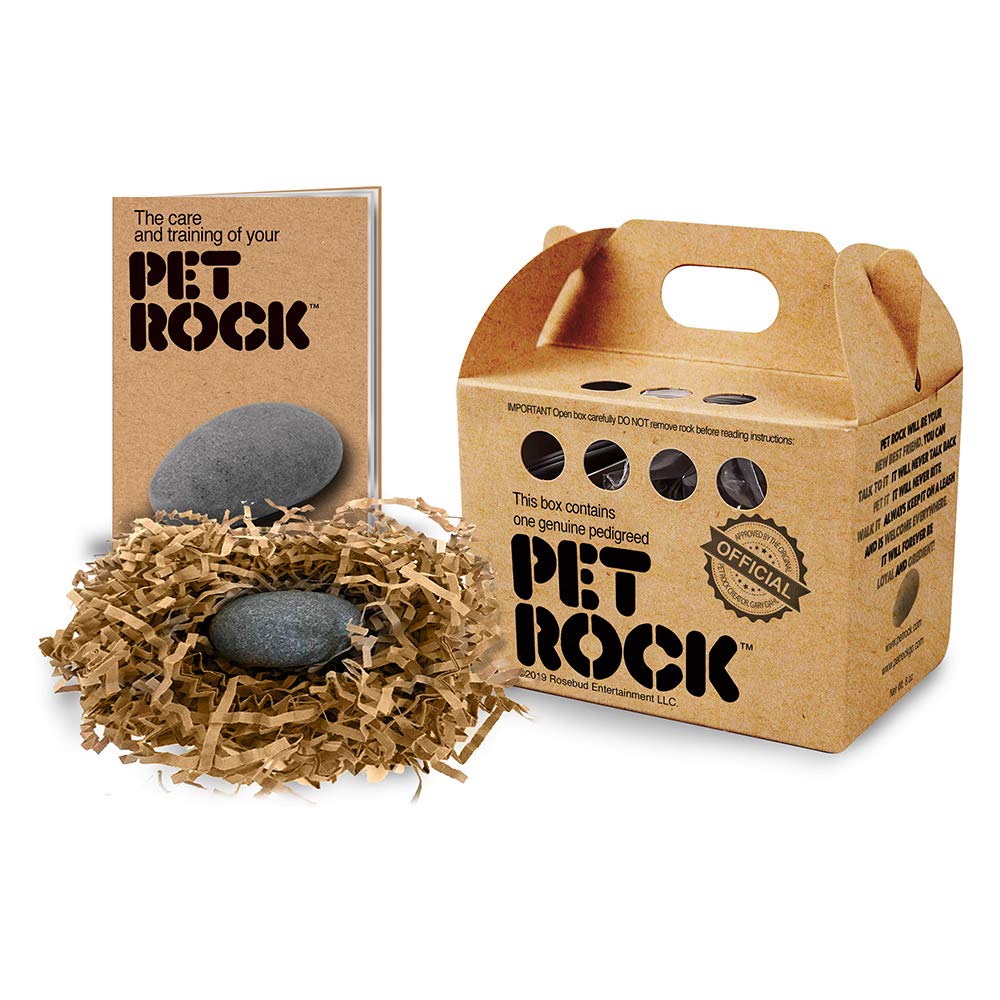Pet Rock The Original on a desk as a playful, low-maintenance companion.