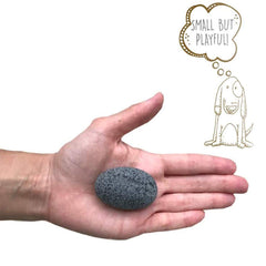 Pet Rock two inches in size, ideal for gifting or desk decor.