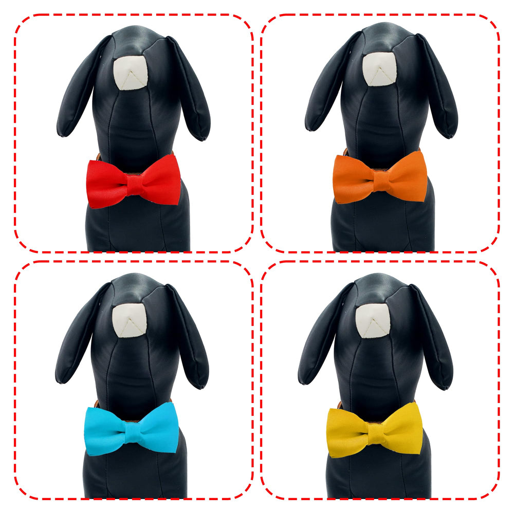 PET SHOW 12-color mix suits various occasions from walks to celebrations