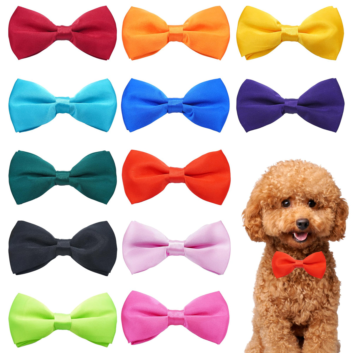 PET SHOW 12-colors collar bowties pack adds charm during daily walks
