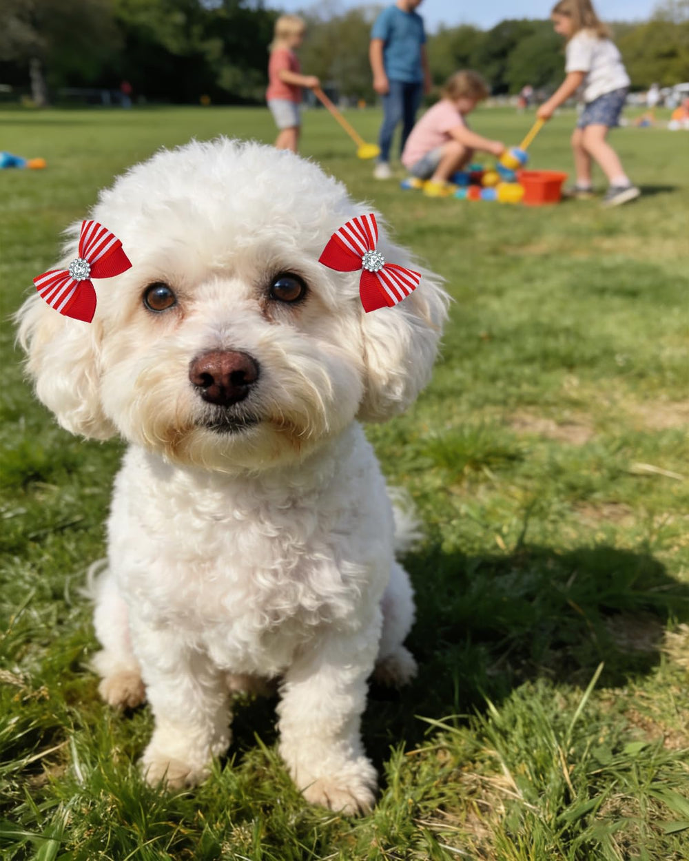 PET SHOW basic pink bow for simple elegance