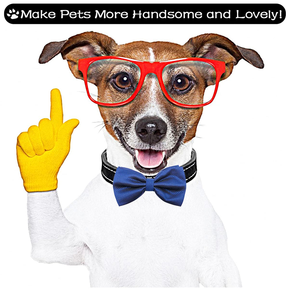 PET SHOW daily wear bowties ideal for walks and casual events.