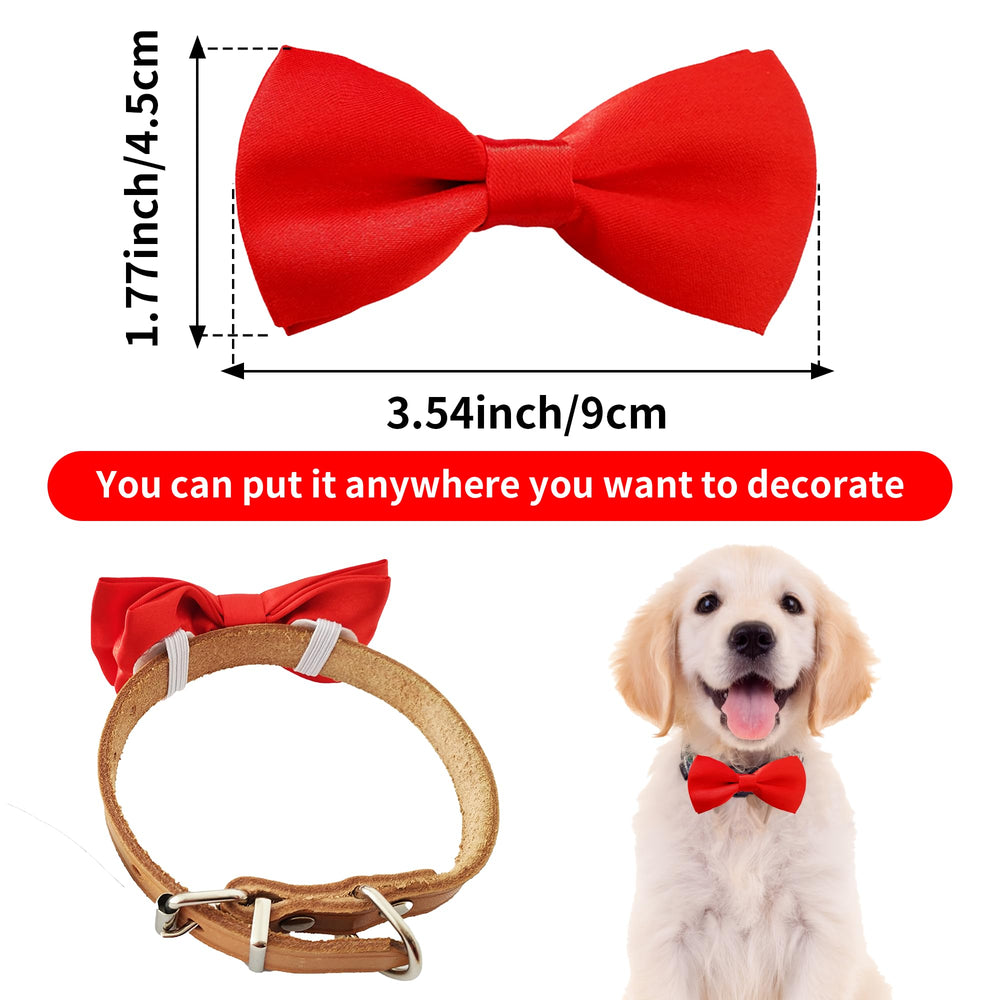 PET SHOW elastic back strap on collar enables quick slip-on attachment