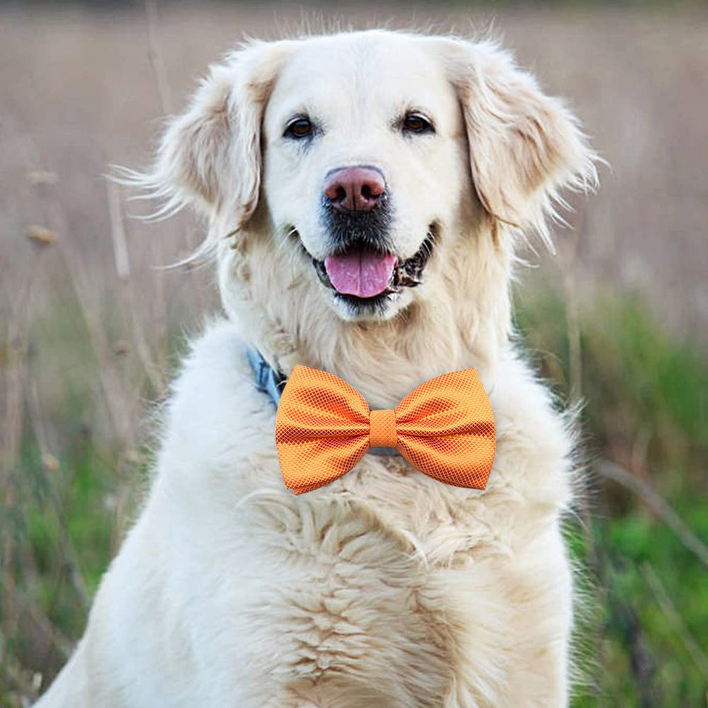 PET SHOW grooming shop bowties attract customers with cute accessories.