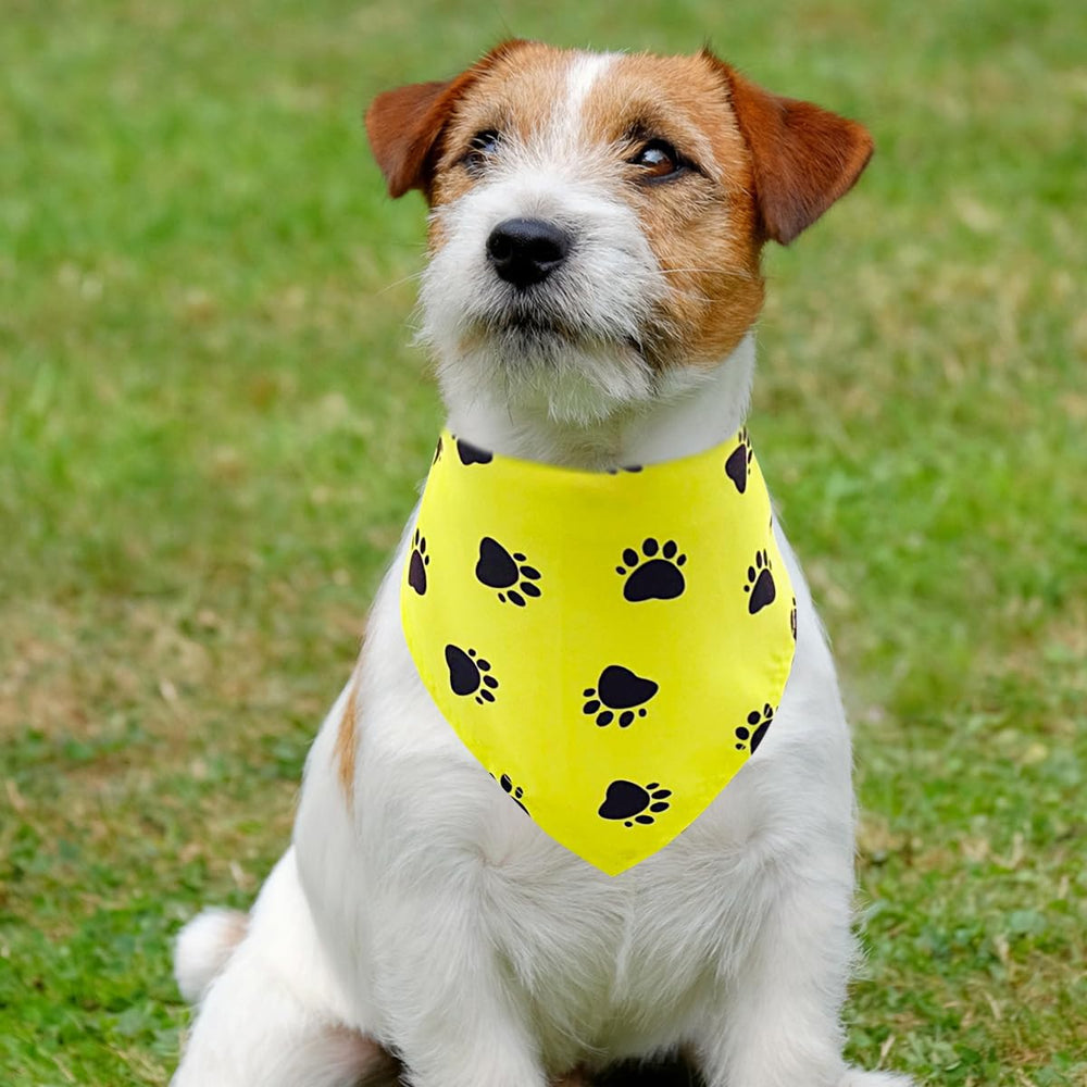 PET SHOW paw-pattern accessory enhances pet outfits for photos.