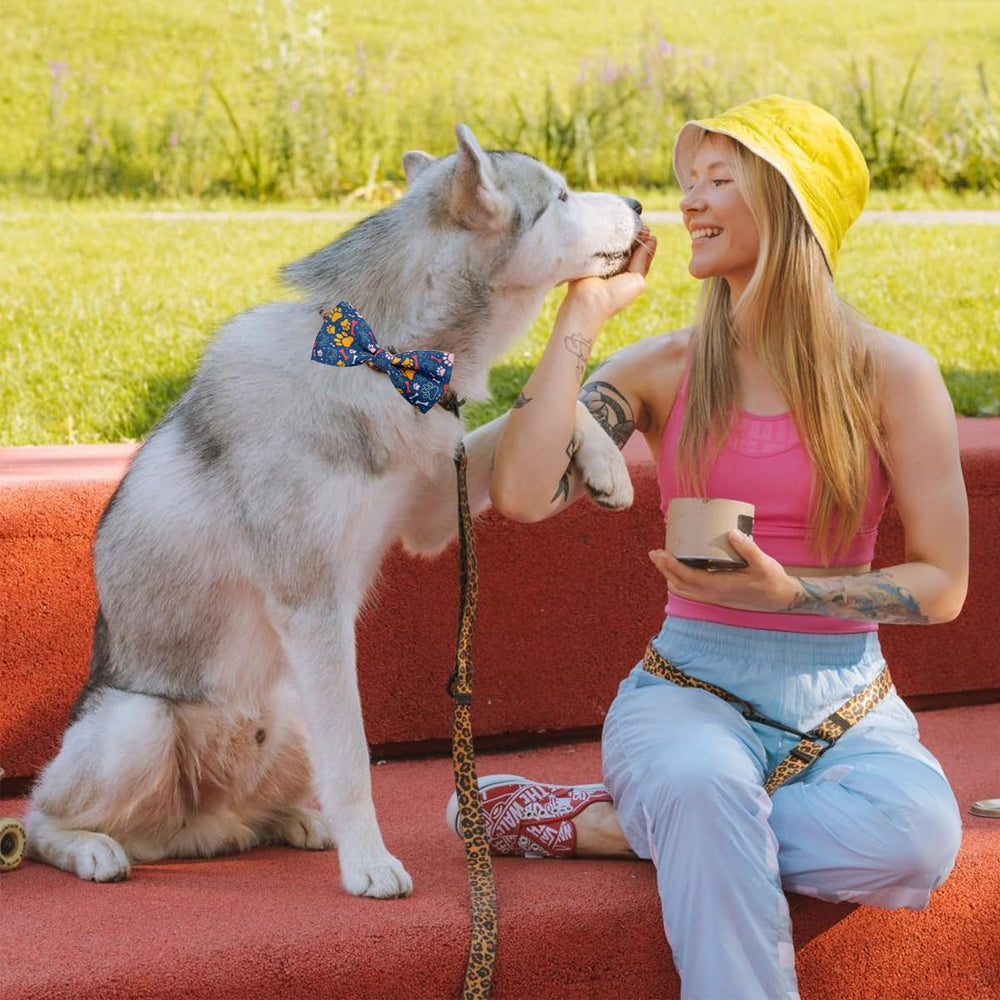 PET SHOW paw pattern bow tie in gray offers versatile styling for daily wear and parties.