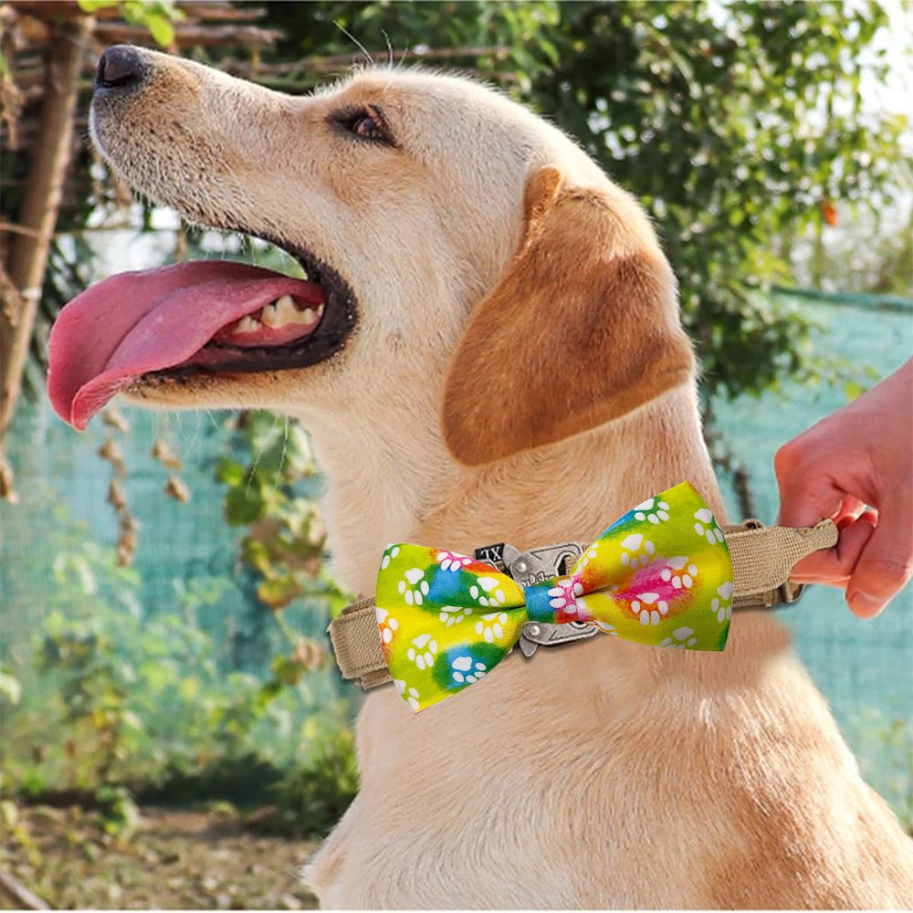 PET SHOW paw pattern bow tie in purple delivers vibrant flair for events and photoshoots.