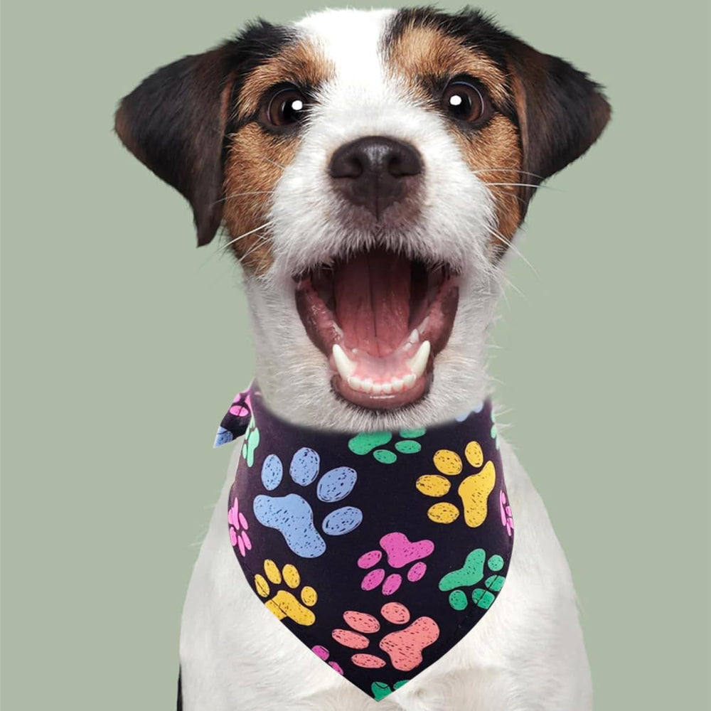 PET SHOW washable bandanas resist fading for long-lasting use.