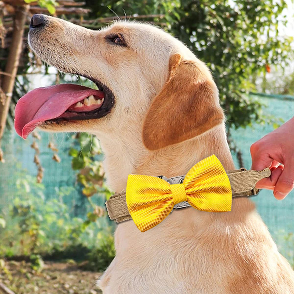 PET SHOW wedding party bowties perfect for special occasions with pets.