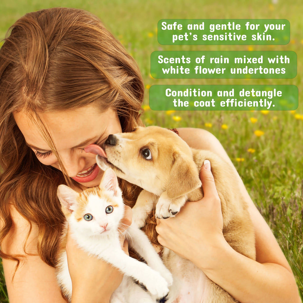 Mist applied to a dog's coat for detangling and shine