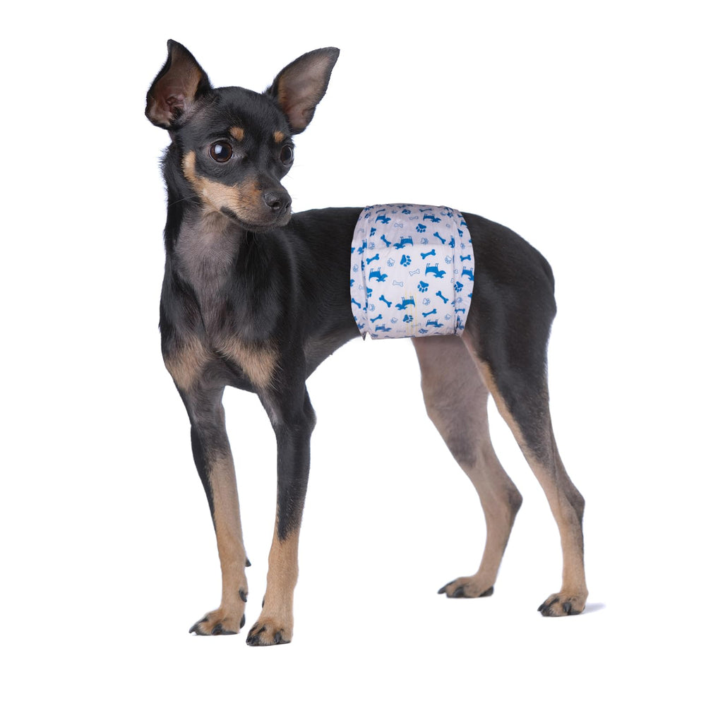 Pet Soft 20-pack small diapers ready for daily use.