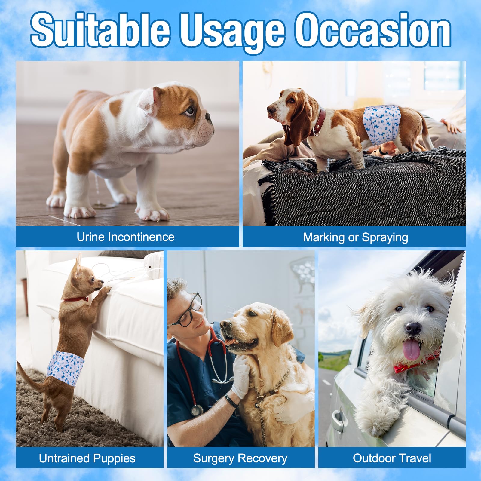 Pet Soft quick-absorb core reduces spill risks during outings.