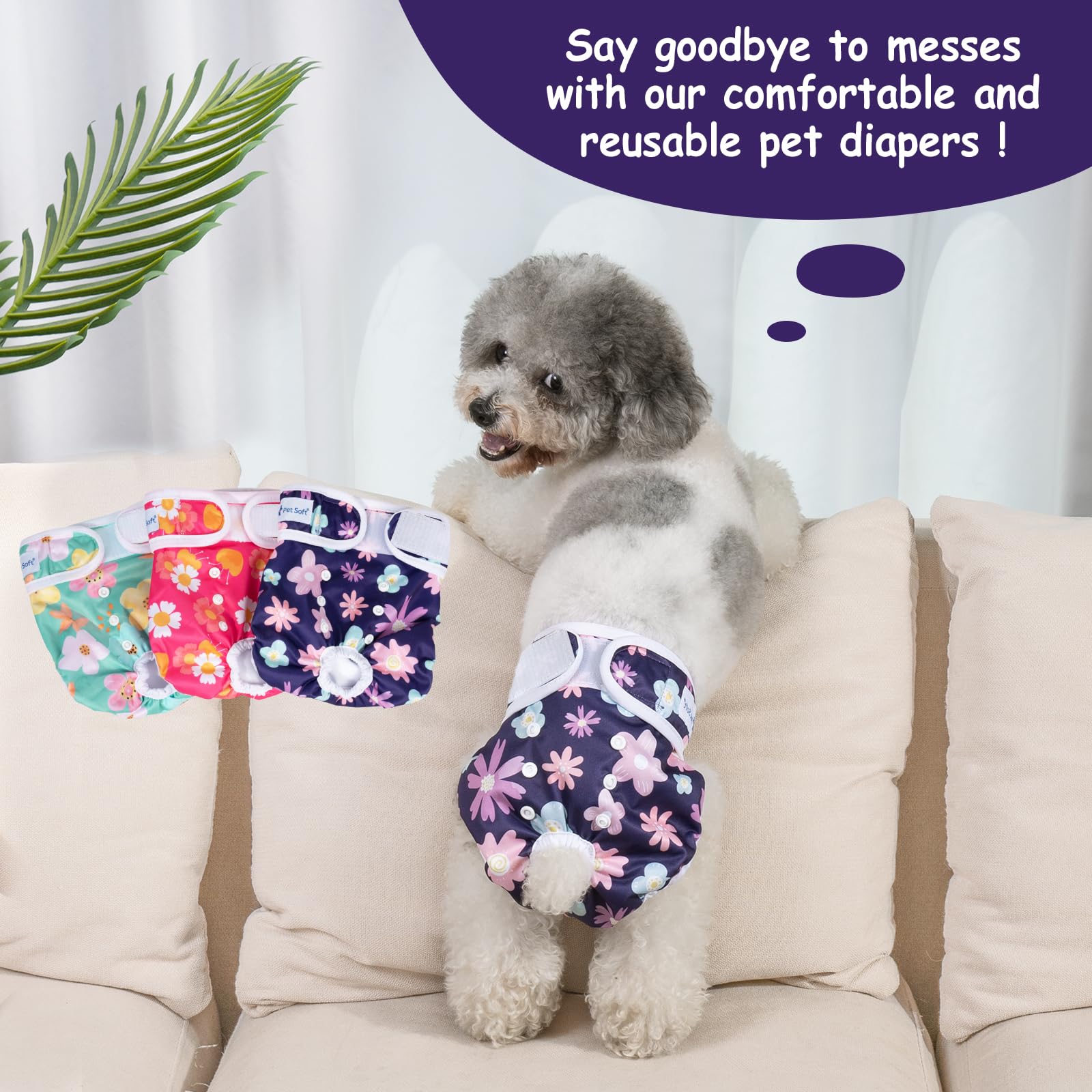 Pet Soft after-service support available for shoppers.