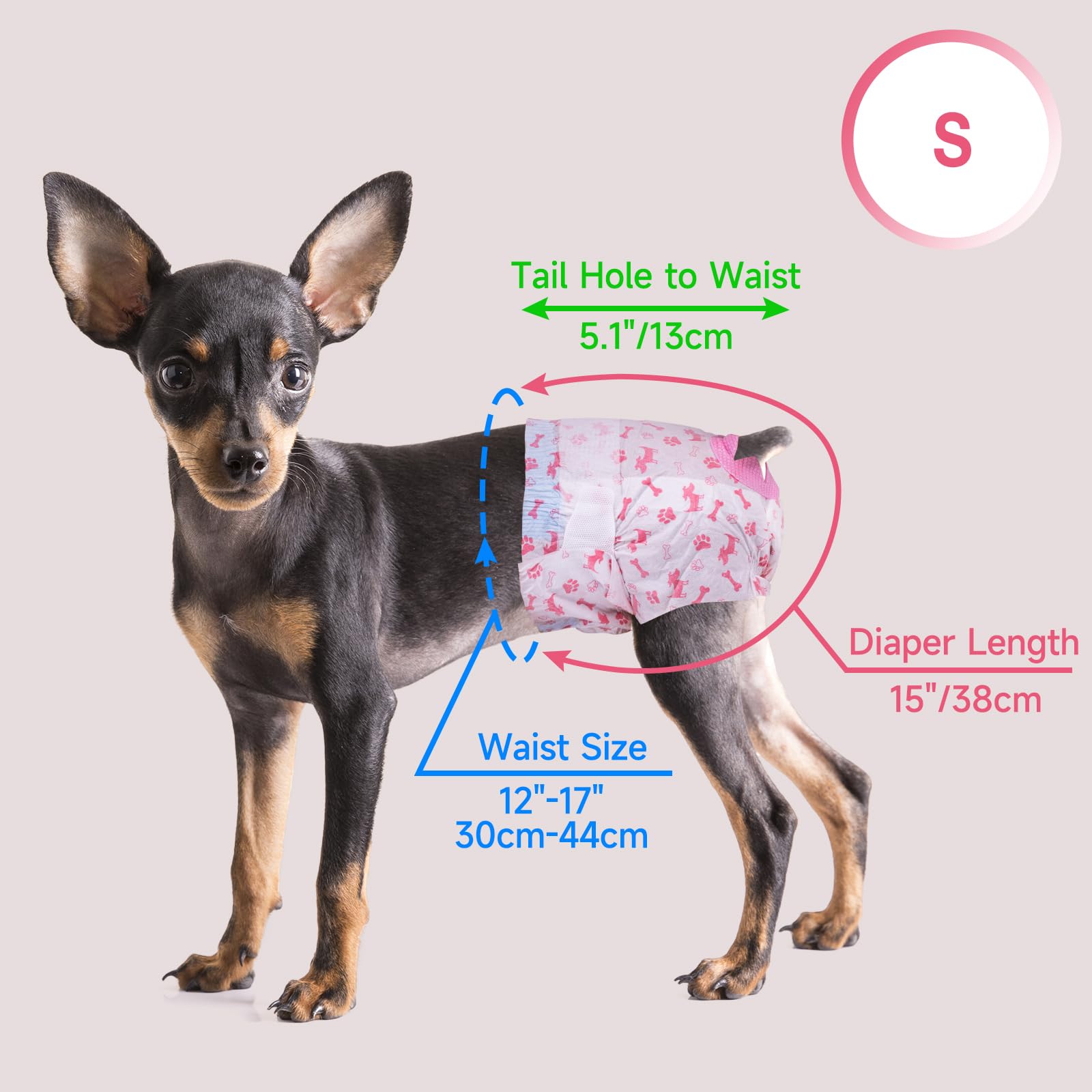 Pet Soft diapers are ideal for daily wear or travel to protect floors and furniture.