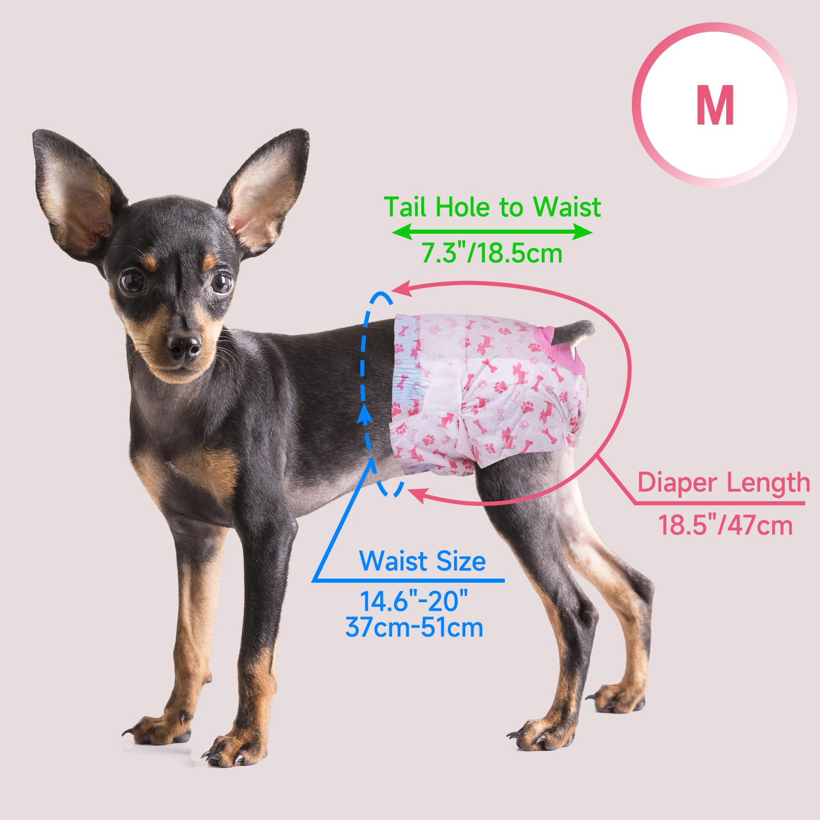 Pet Soft ideal for daily use or travel.